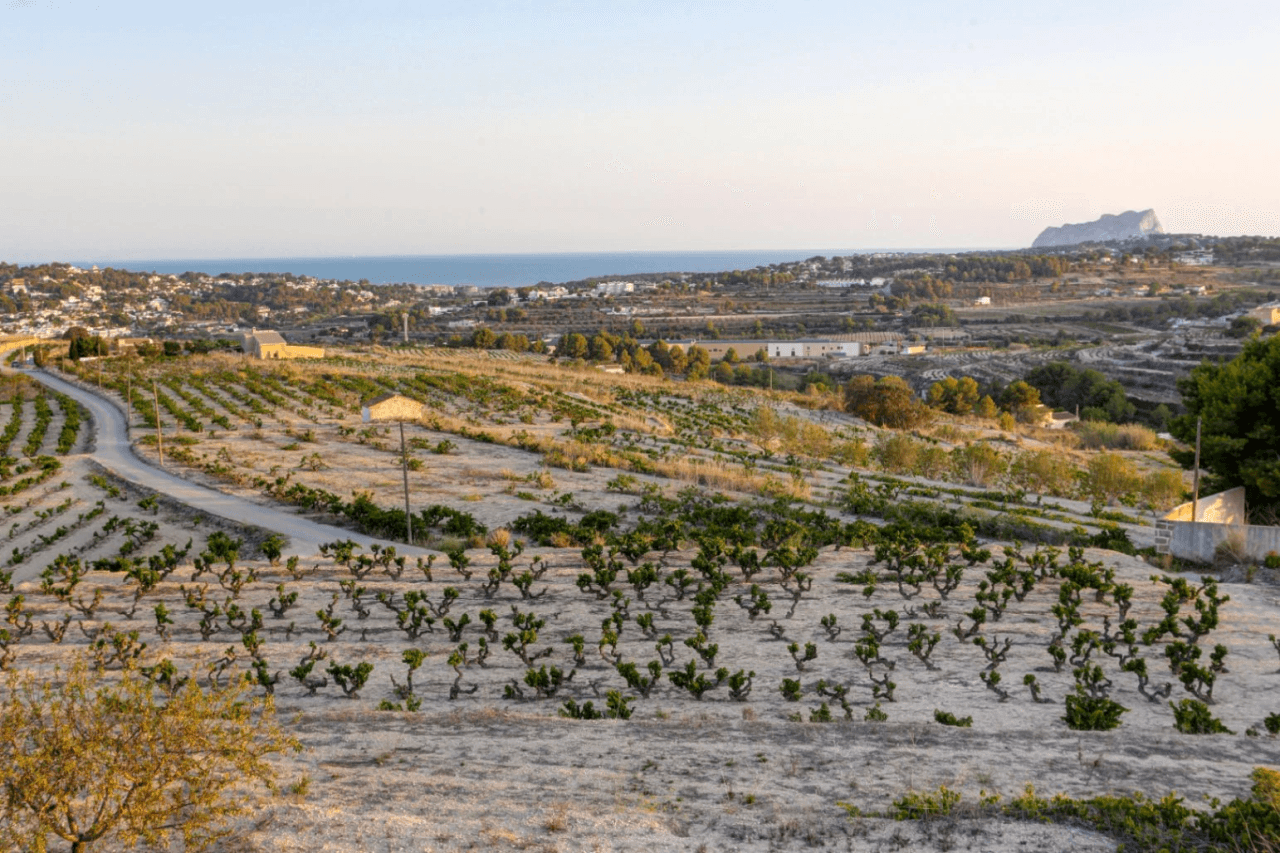 Unique finca on the very best location of Moraira