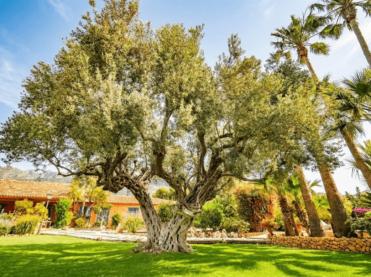 Villa for sale in Altea, Alicante