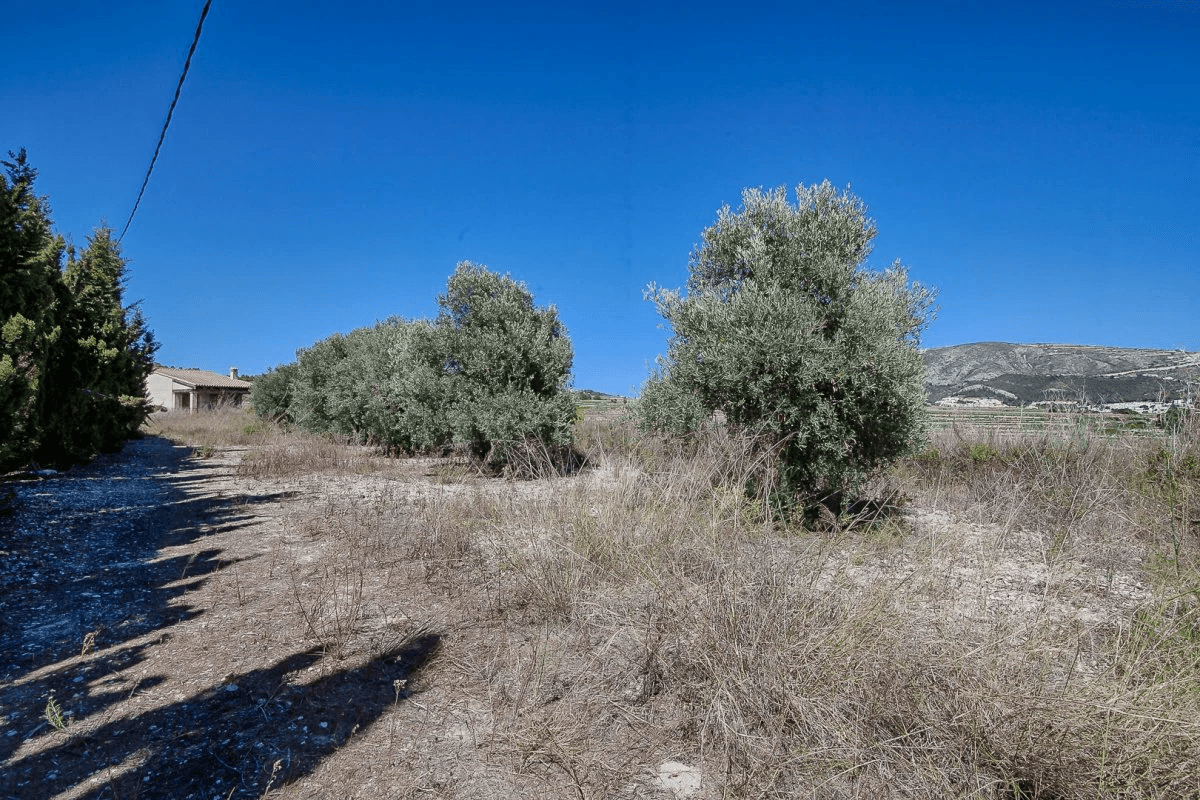 CONSTRUCCIÓN NUEVA DE UNA FINCA EN UNA UBICACIÓN ÚNICA EN MORAIRA