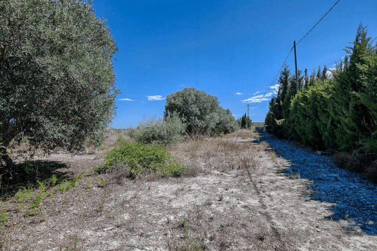 CONSTRUCCIÓN NUEVA DE UNA FINCA EN UNA UBICACIÓN ÚNICA EN MORAIRA